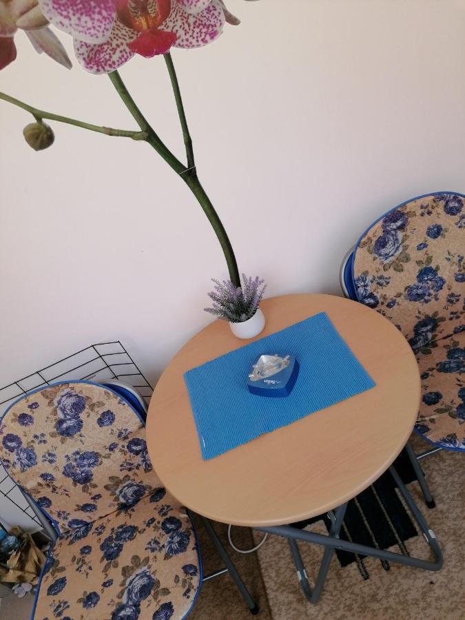 Apartman Nena Nova Varoš Dış mekan fotoğraf